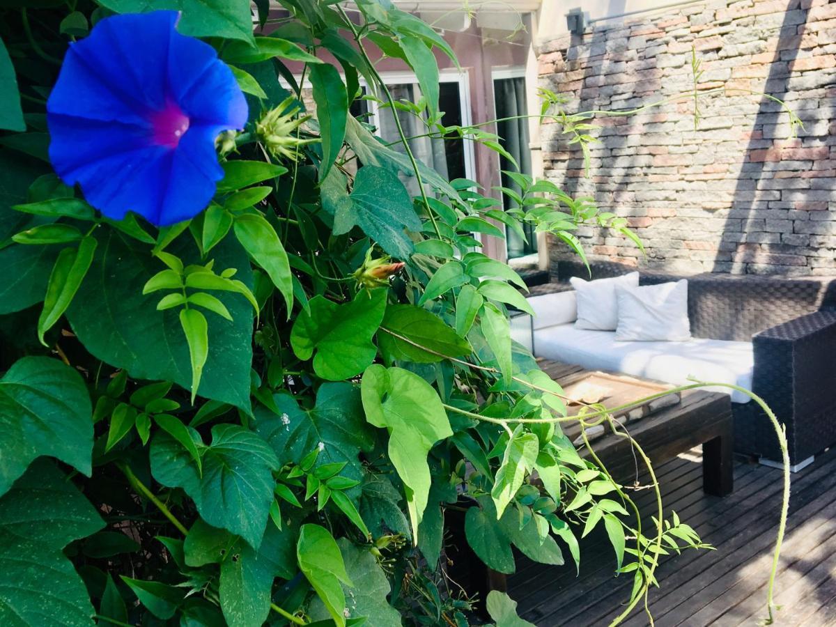 Bed and Breakfast Cool Clima Olivos Exterior foto