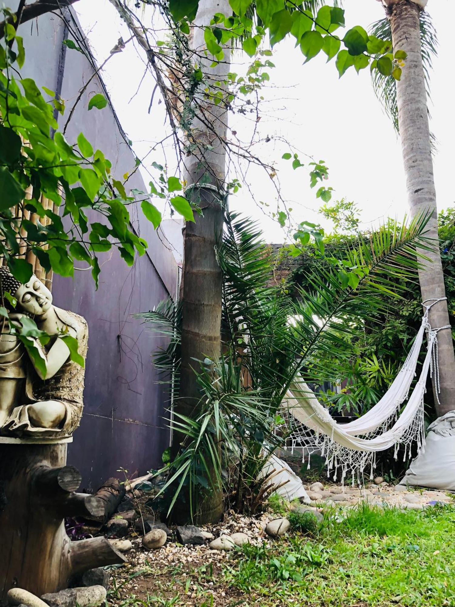 Bed and Breakfast Cool Clima Olivos Exterior foto