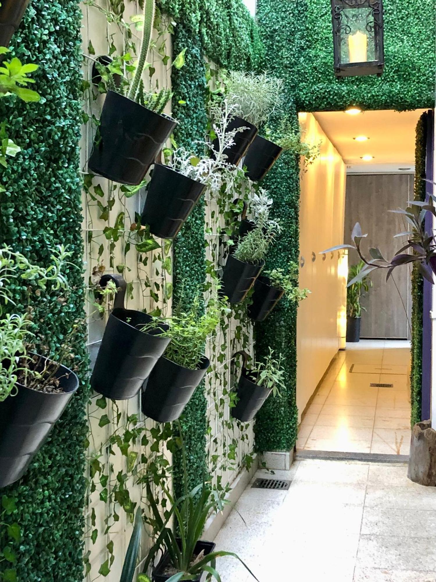 Bed and Breakfast Cool Clima Olivos Exterior foto