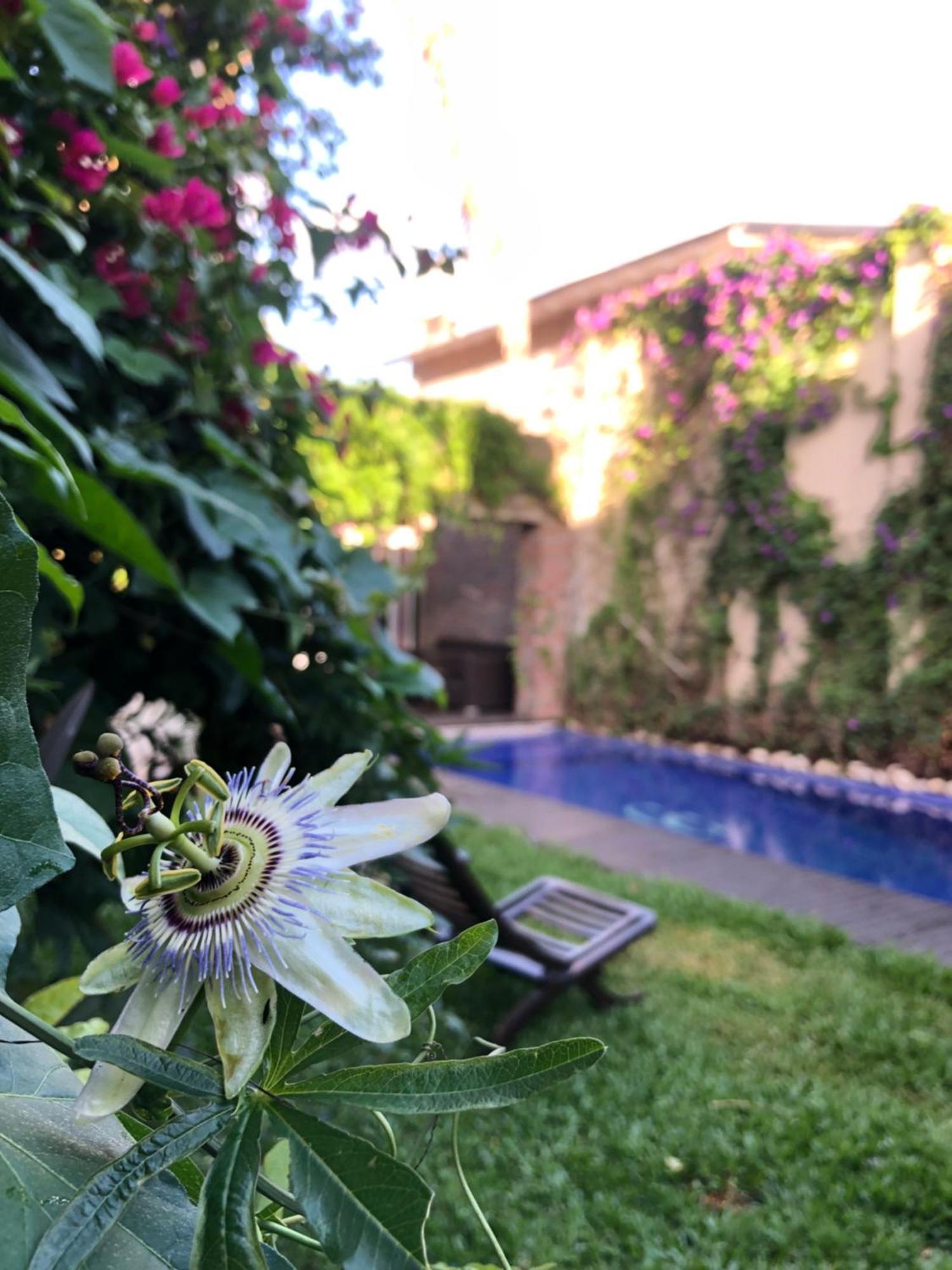 Bed and Breakfast Cool Clima Olivos Exterior foto