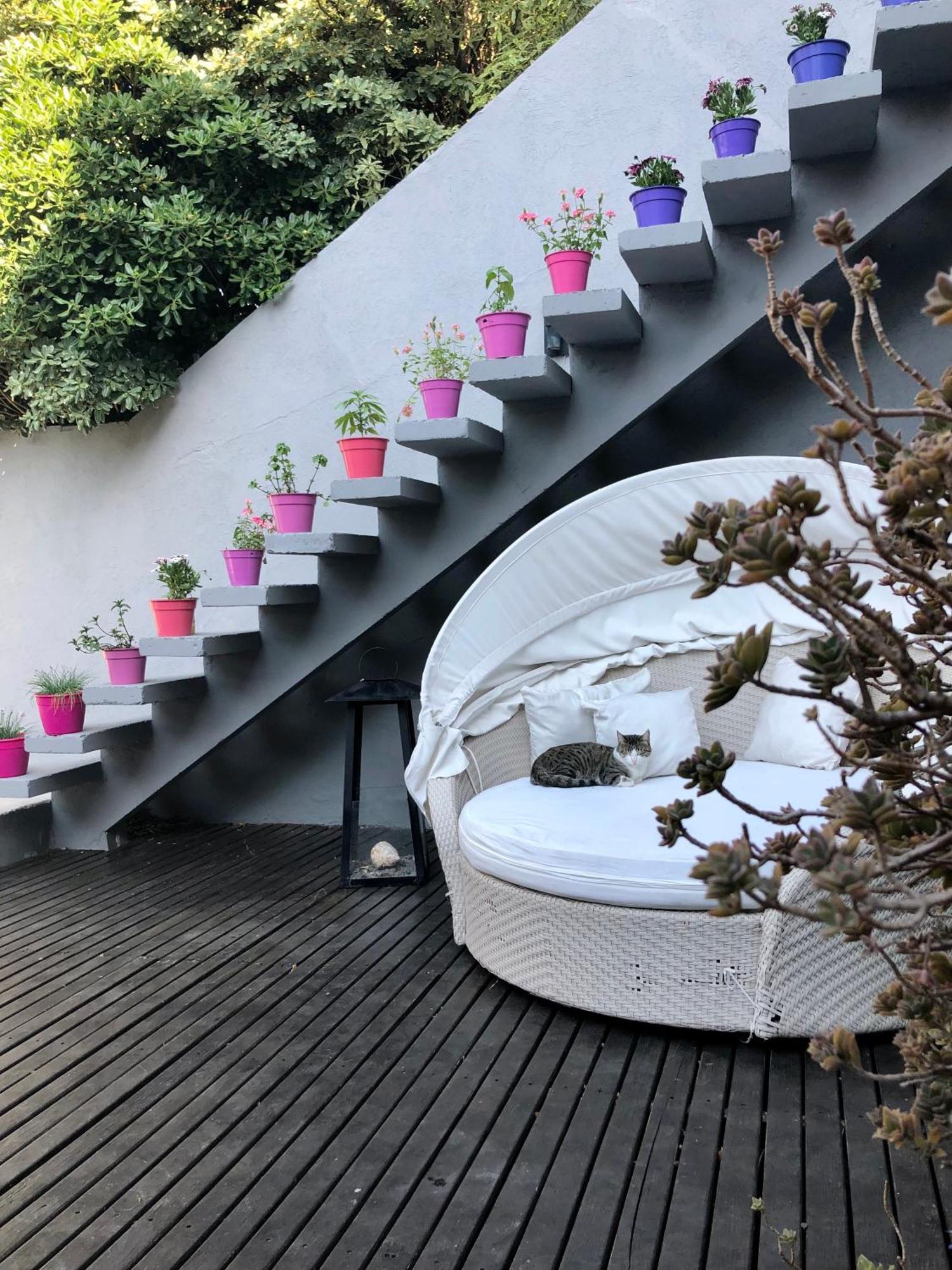 Bed and Breakfast Cool Clima Olivos Exterior foto