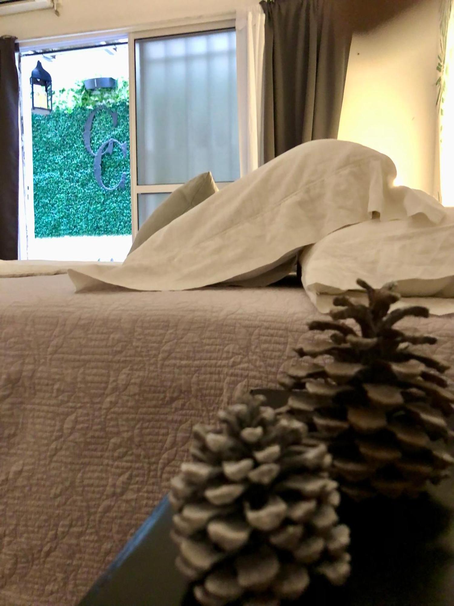 Bed and Breakfast Cool Clima Olivos Exterior foto
