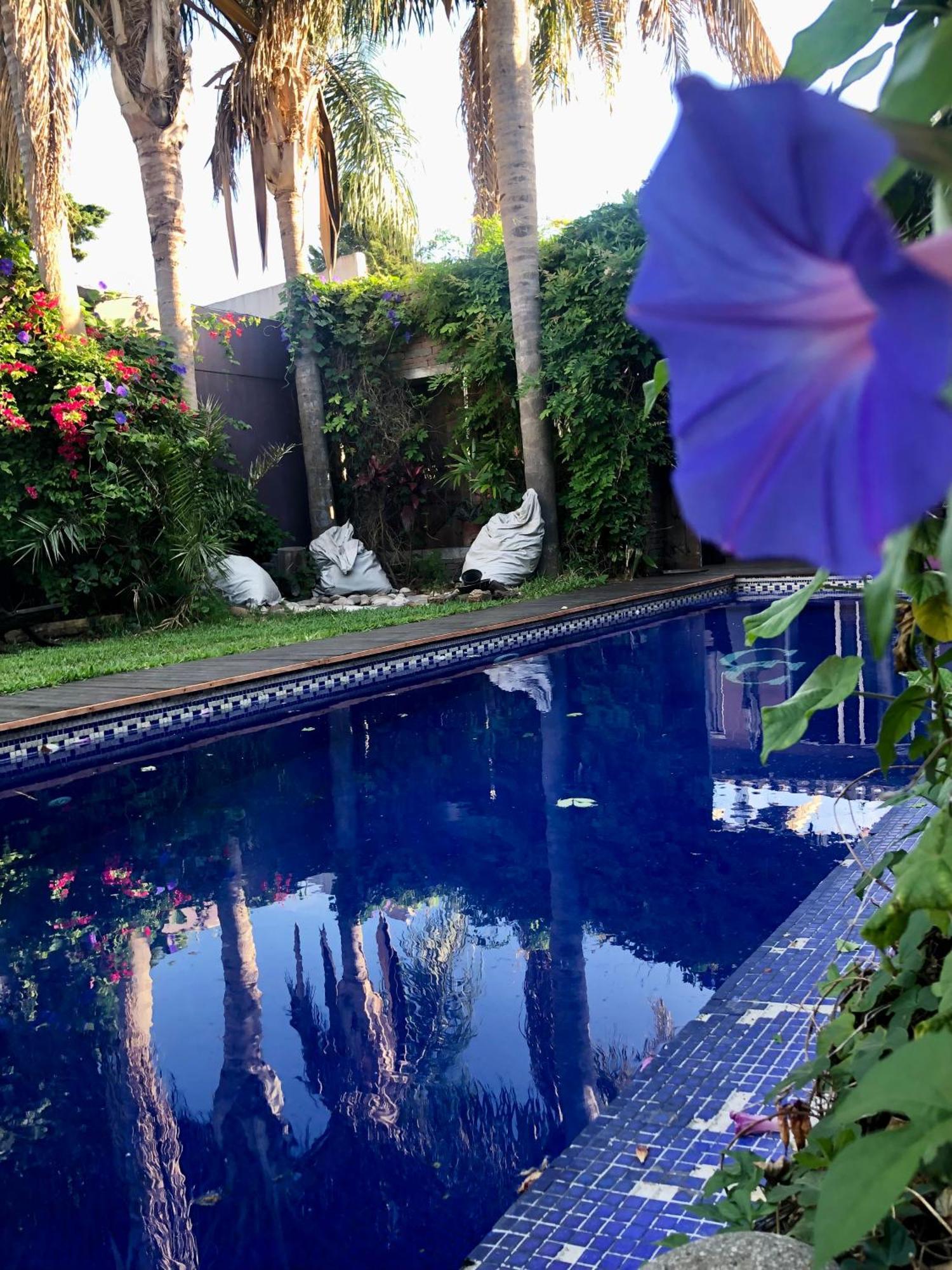 Bed and Breakfast Cool Clima Olivos Exterior foto