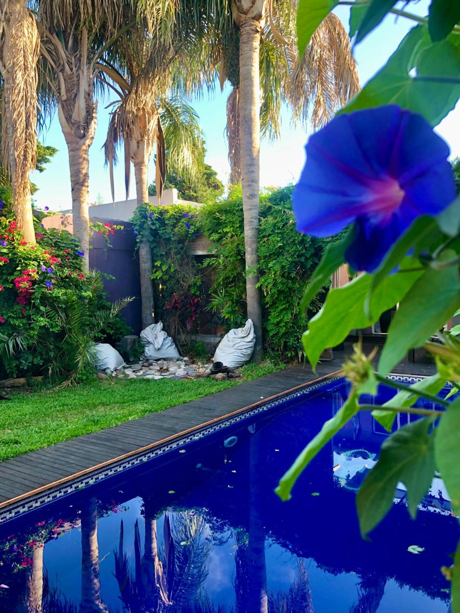 Bed and Breakfast Cool Clima Olivos Exterior foto