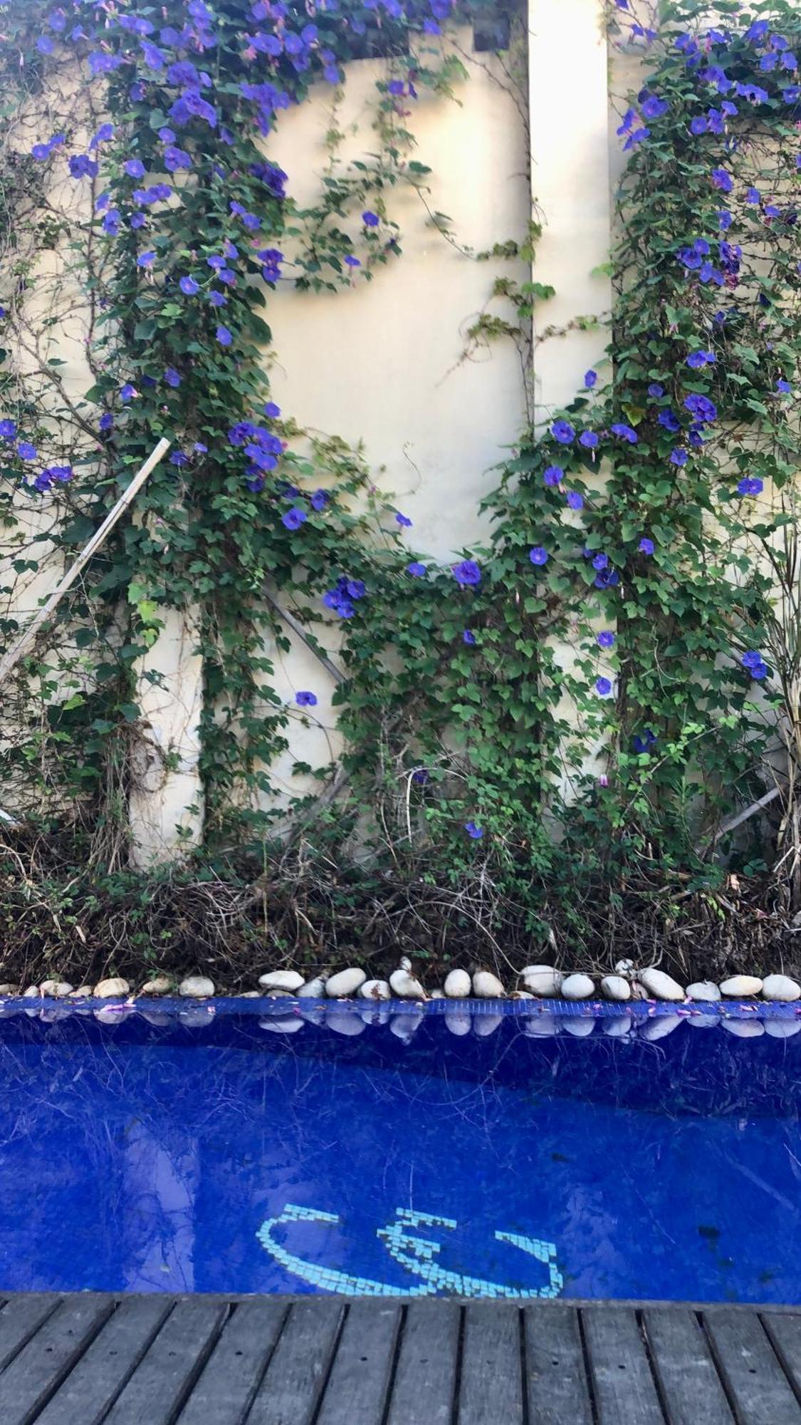 Bed and Breakfast Cool Clima Olivos Exterior foto