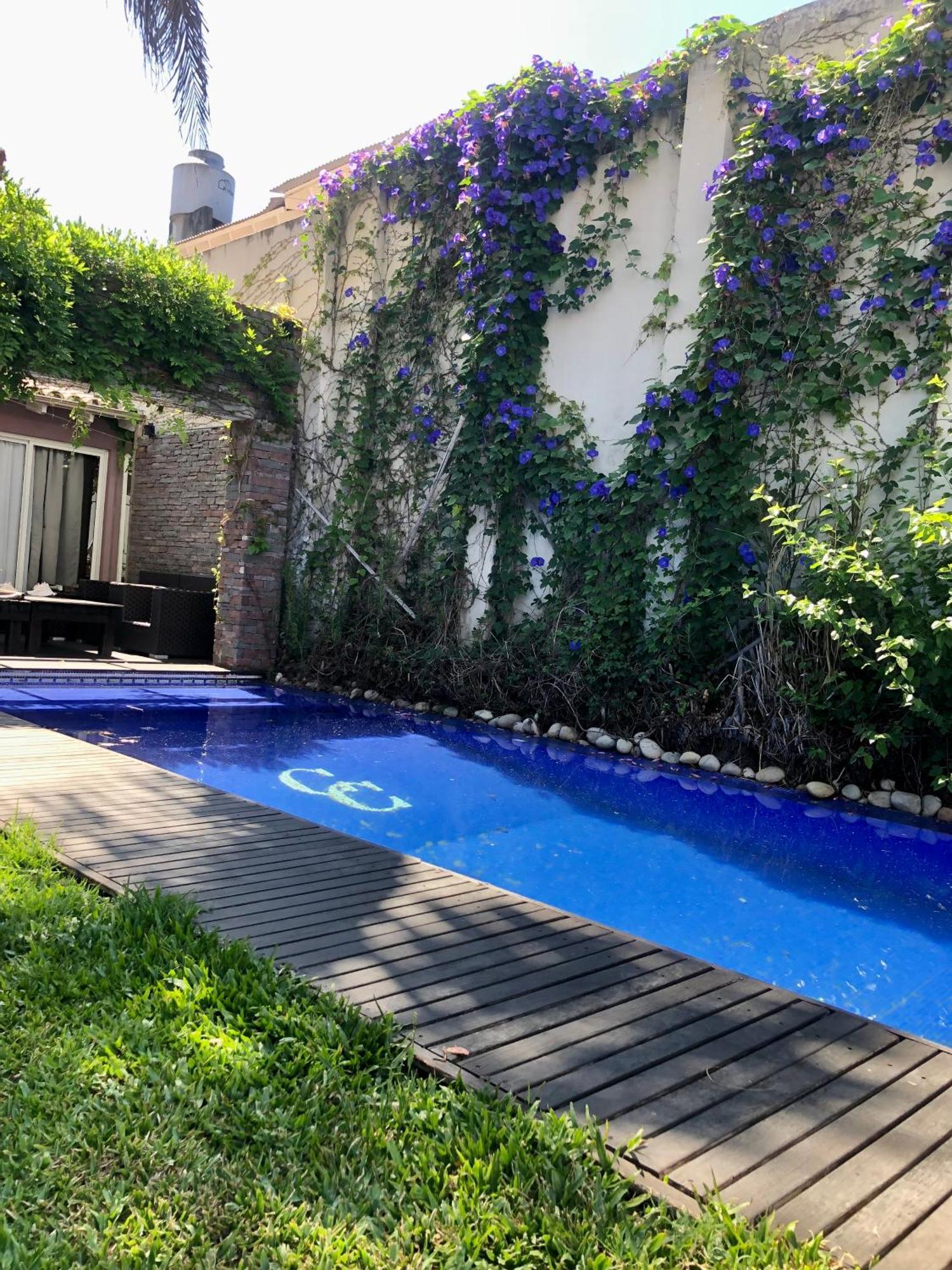 Bed and Breakfast Cool Clima Olivos Exterior foto