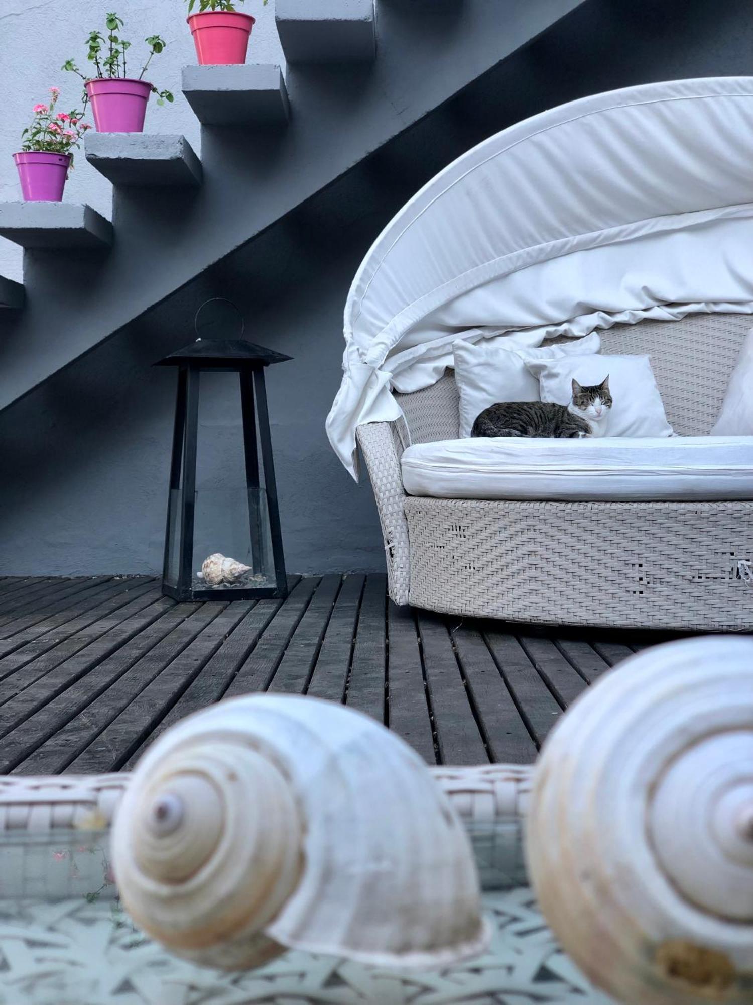 Bed and Breakfast Cool Clima Olivos Exterior foto